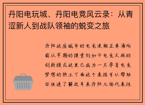 丹阳电玩城、丹阳电竞风云录：从青涩新人到战队领袖的蜕变之旅